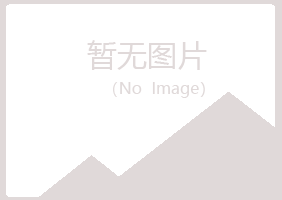 安阳殷都夜山咨询有限公司